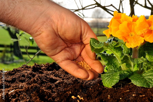Foto: Gartenarbeit Gartenarbeit