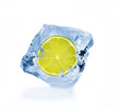 SLice of lime in ice cube