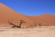 Deadvlei dans les dunes de Sossuvlei