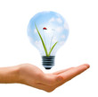 Clean Energy in our hands