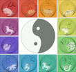 Chinese horoscope around yin yang