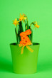 Easter