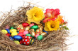 Osternest