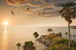 palm coast