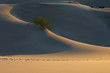 A smooth contours of sand dunes