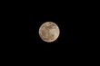 Photo: Supermoon-March-19-2011 Supermoon-March-19-2011