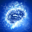 brain, chemical formulas &  lights - blue technology concept