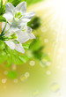 springtime