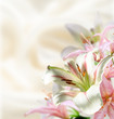 White flowers