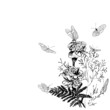 butterlies on flower sketch