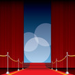 red carpet stairs red carpet stairs