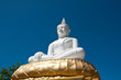 white buddha image