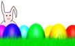 Happy Easter Bunny