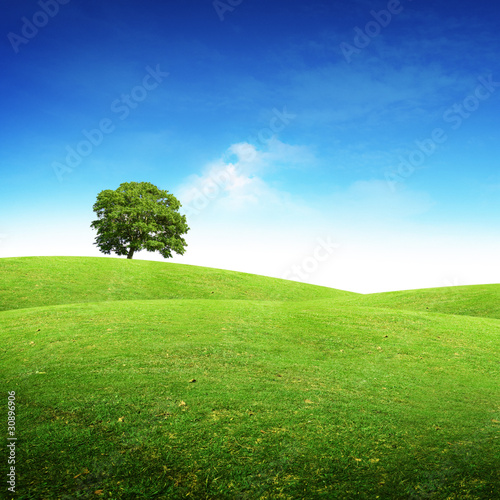 Photo: Summer Scenic Landscape Summer Scenic Landscape