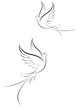Peace white dove - colombes de la paix