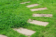 Pavement slab on the grass