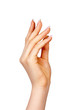 Beautiful female hand