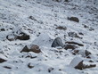 Foto: Ecuador Ecuador