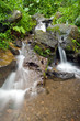 Source en forêt