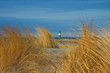 Düne in Warnemünde.