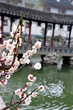 jardin Yu à Shanghai