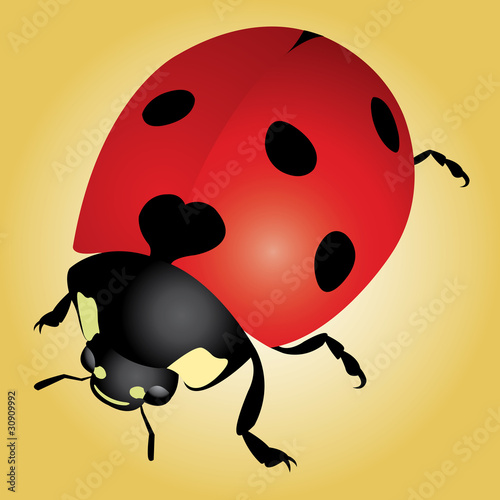 Vektor: Ladybug Ladybug