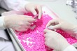 Hands Holding Pills - Quality Control