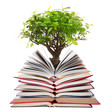 libri aperti con albero