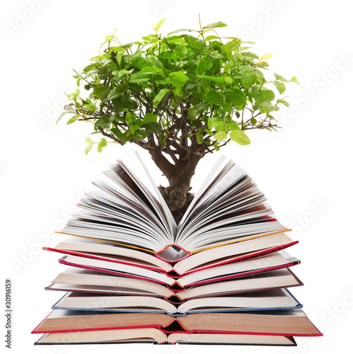 Photo: libri aperti con albero libri aperti con albero