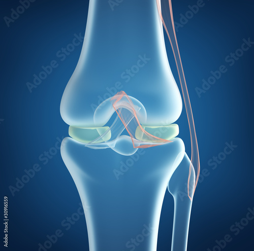 Illustration: X-ray concept of knee joint closeup view. On blue background X-ray concept of knee joint closeup view. On blue background