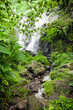 Cascades dans un écrin de verdure
