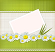 greeting card with daisies and abstracts background greeting card with daisies and abstracts background