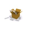 Free Domain Gift Pack
