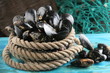 moules