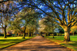park in springtime