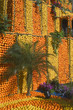 Fête du citron de Menton