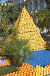 Fête du citron de Menton