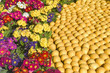 Fête du citron de Menton