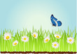 grass vector