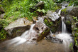 Source en forêt