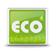 Bottone ECO