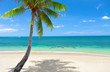 tropical beach with coconut palm. Koh Lanta, Thailand