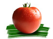 tomates
