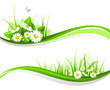 Floral design
