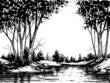 Lake in the birch forest