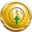 Spaltung grün