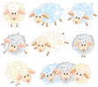 Cute sheep.