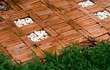 Floor bricks in the flower garden
