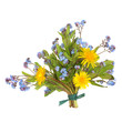 Spring Wildflower Posy