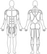 human body